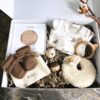 Baby cadeaubox teddy groot