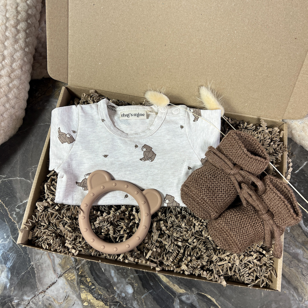 Brievenbus kraamcadeau teddy