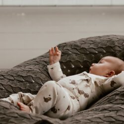 That's Mine legging bees and bears