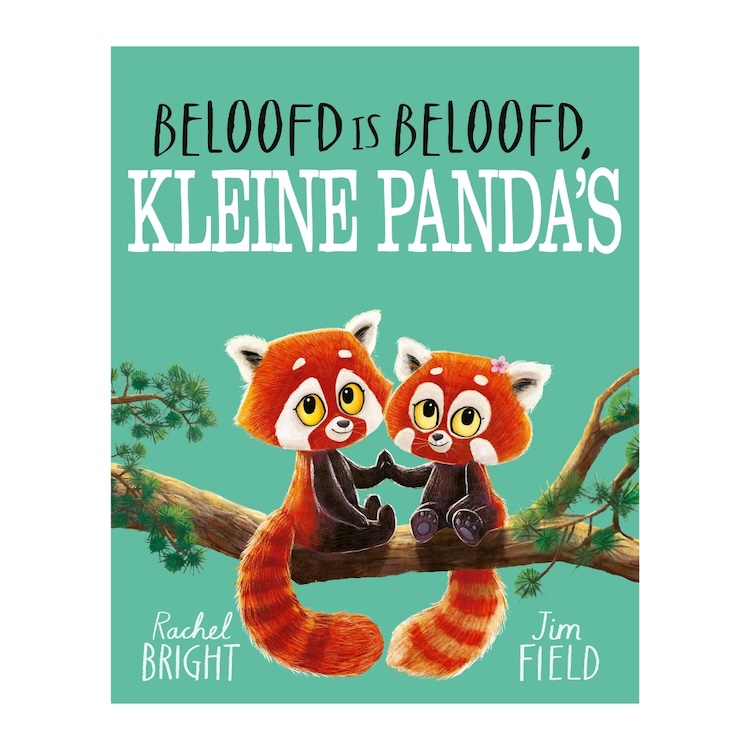 Prentenboek kinderboek beloofd is beloofd kleine panda's