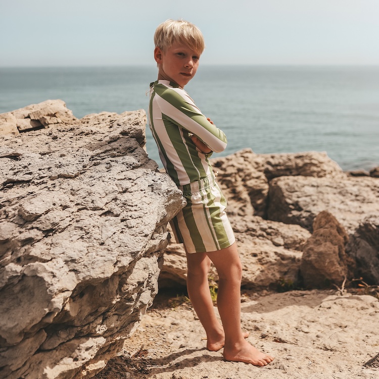 Salted Stories longsleeve wide stripe iguana