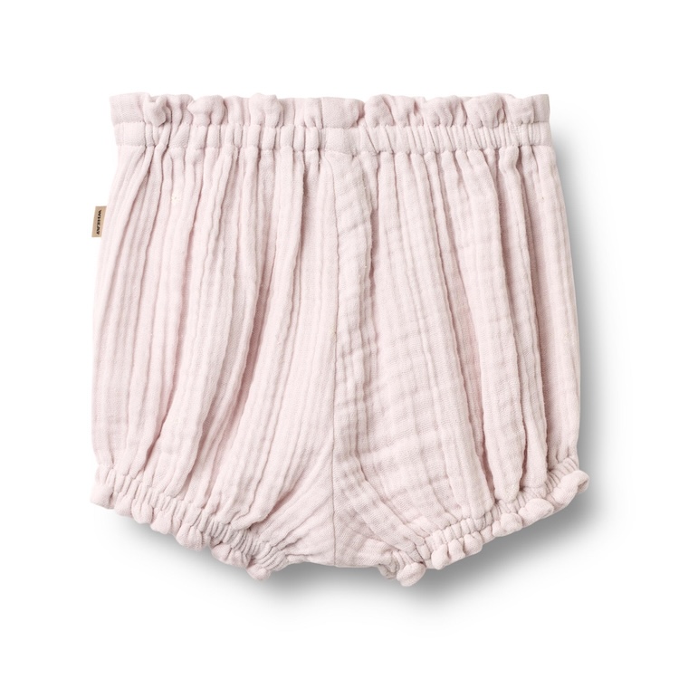 Wheat bloomer angie purple light flowers