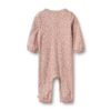 Wheat boxpakje Felizia dime rose small flower