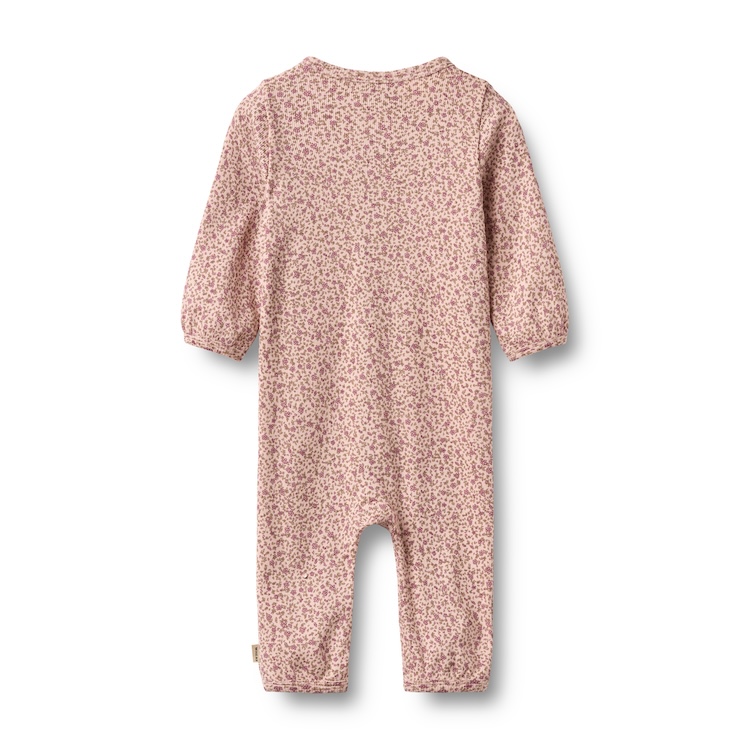 Wheat boxpakje Felizia dime rose small flower