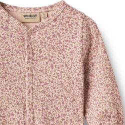Wheat boxpakje Felizia dime rose small flower