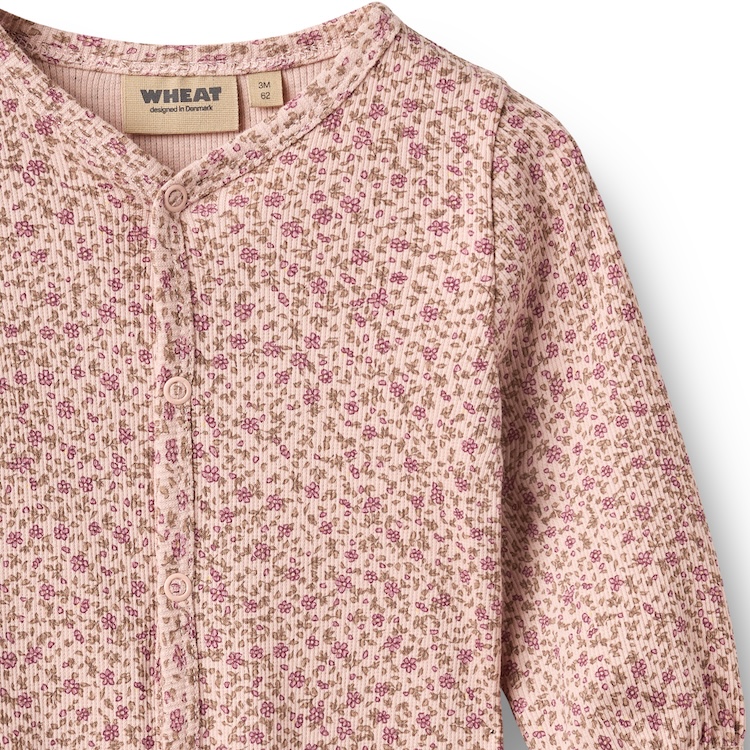Wheat boxpakje Felizia dime rose small flower